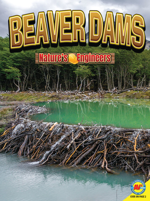 Title details for Beaver Dams by Nancy Furstinger - Wait list
